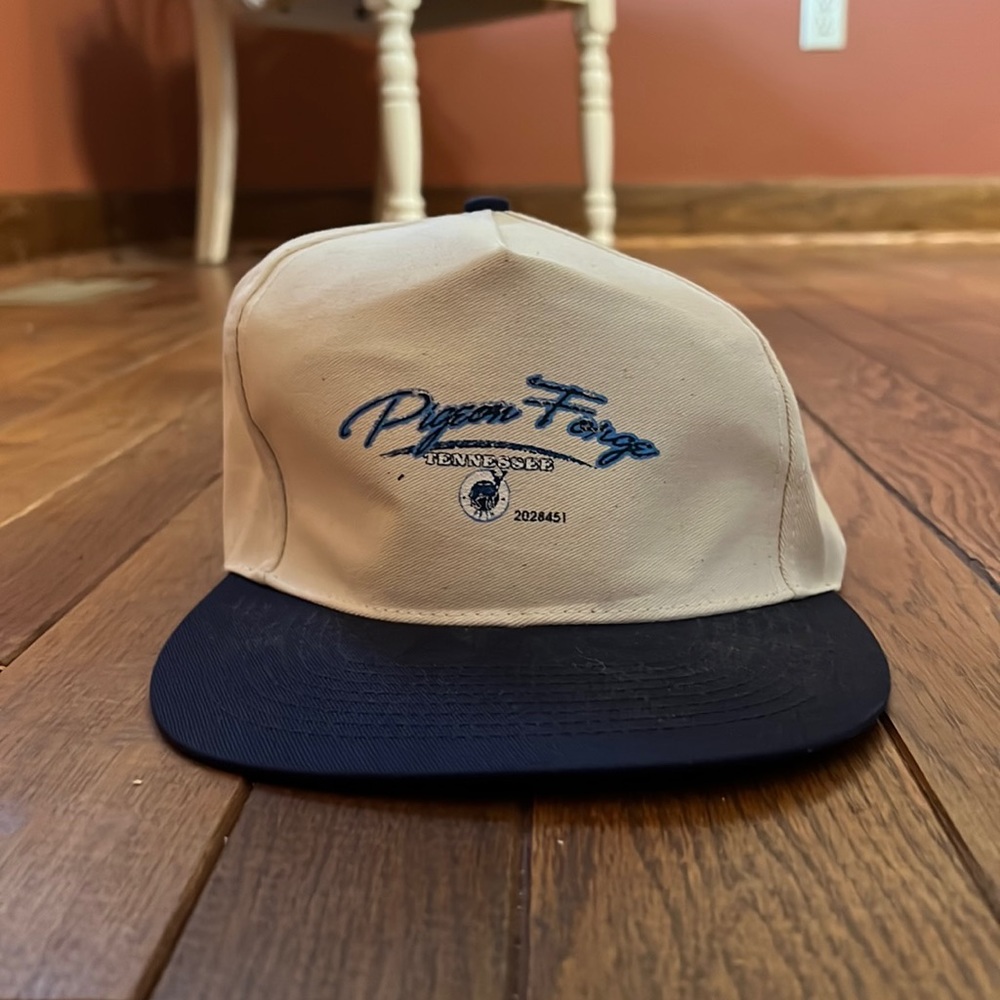 Vintage pigeon forge Tennesse hat